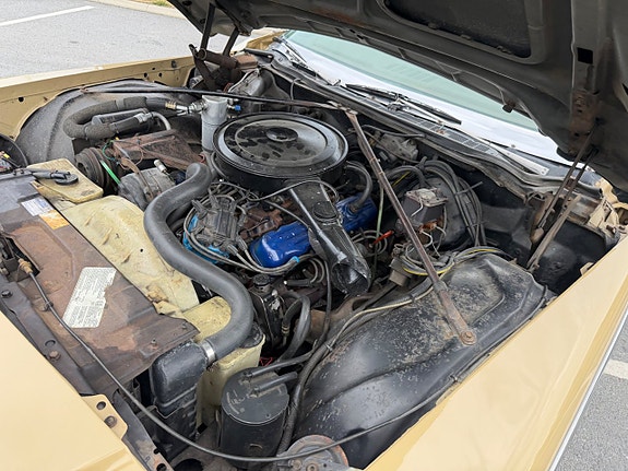 Buick Estate 15 of 17