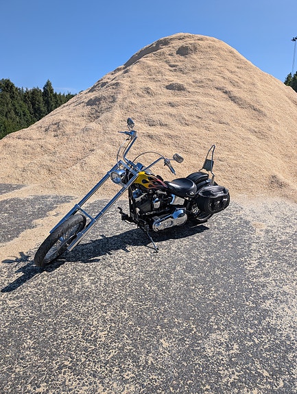 Harley-Davidson Softail 3 of 3