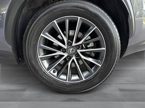 Lexus NX450h+ 10 of 15
