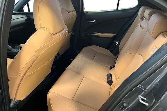 Lexus UX250h 16 of 22