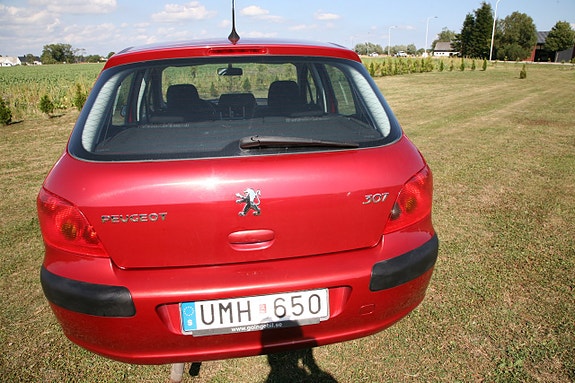 Peugeot 307 11 of 22