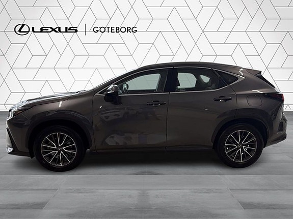 Lexus NX350h 4 of 15