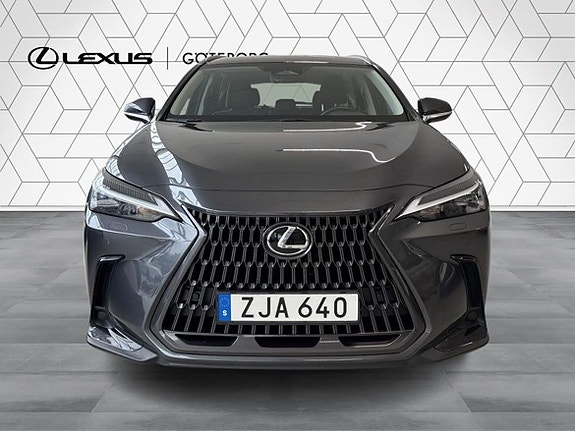Lexus NX350h 6 of 15