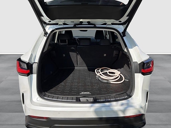 Lexus NX450h+ 10 of 10