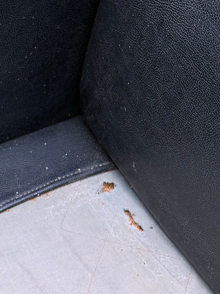 Product image 7 of 11
