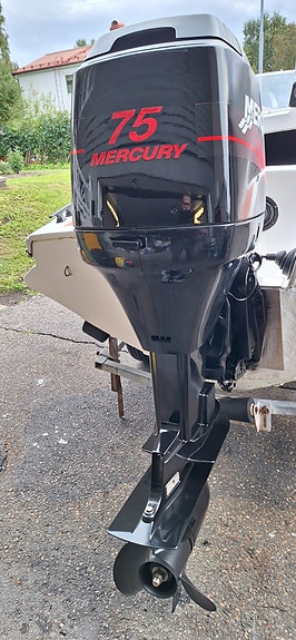 Weedo GT Mercury 75hp 2 takt 8 of 9