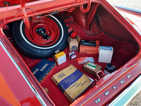 Rambler Marlin 29 of 30