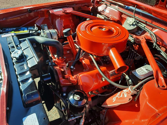 Rambler Marlin 25 of 30