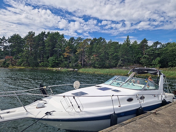 Sea Ray 290 Sundancer 2 of 15