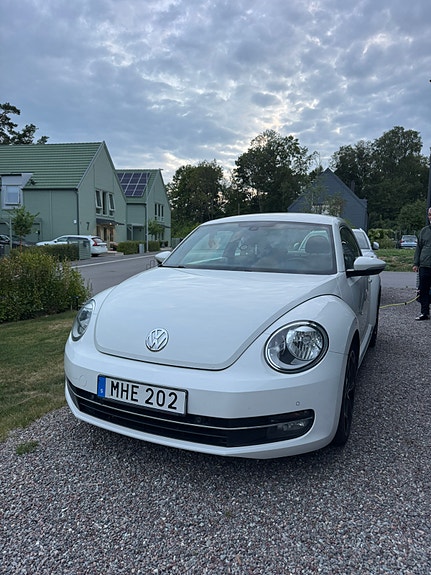 Volkswagen Beetle 15 of 18