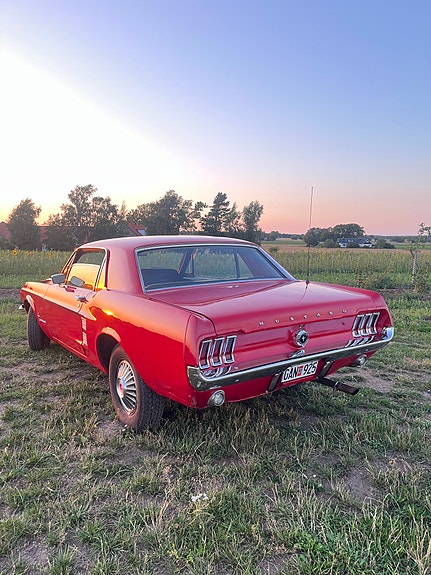 Ford Mustang 6 of 13