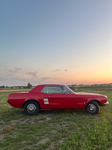 Ford Mustang 5 of 13