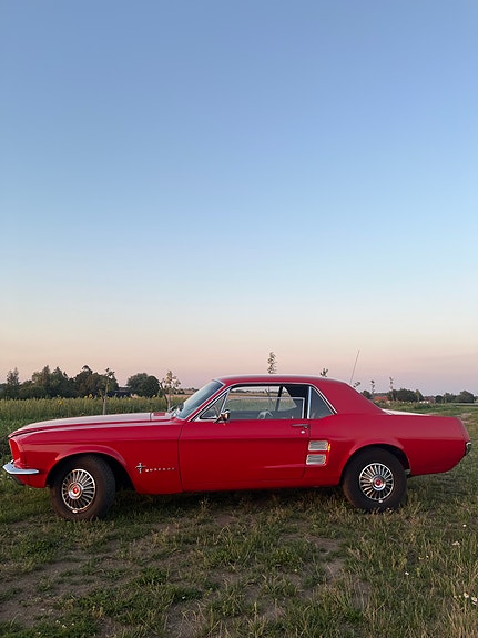 Ford Mustang 4 of 13
