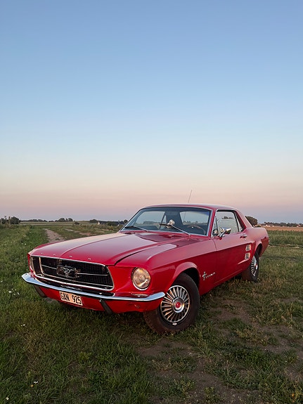 Ford Mustang 3 of 13