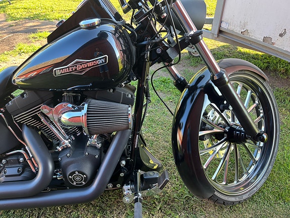 Harley-Davidson Night Train 2 of 3