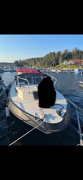 Marino 725, Volvo Penta MD21B 3 of 4