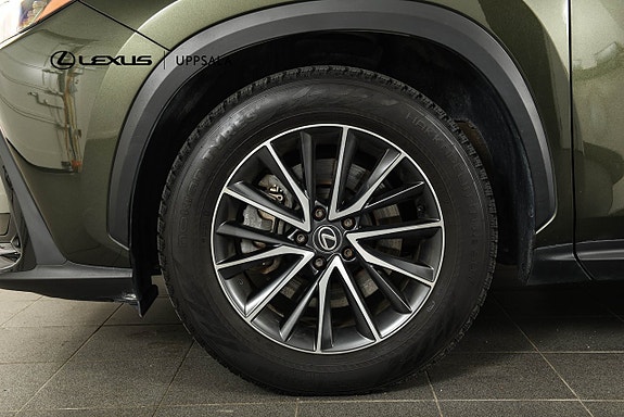 Lexus NX450h+ 23 of 23