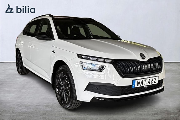 Skoda Kamiq 12 of 16