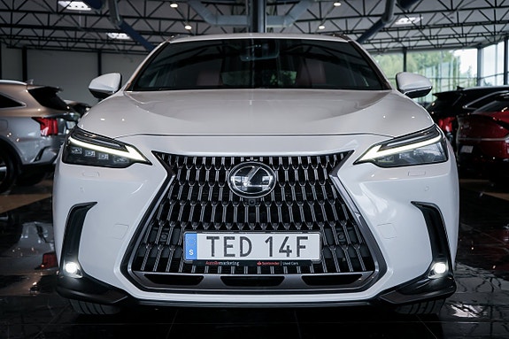 Lexus NX350h 3 of 30