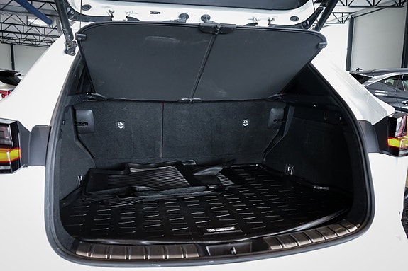Lexus NX350h 9 of 30
