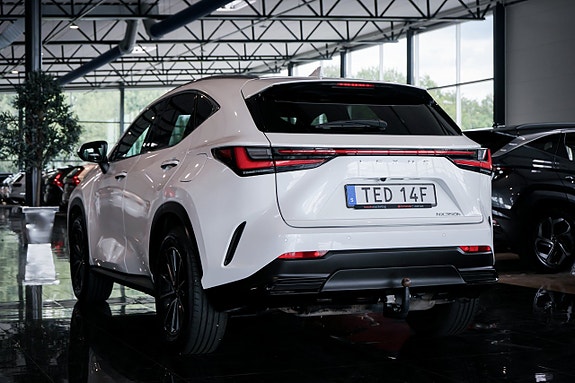 Lexus NX350h 6 of 30
