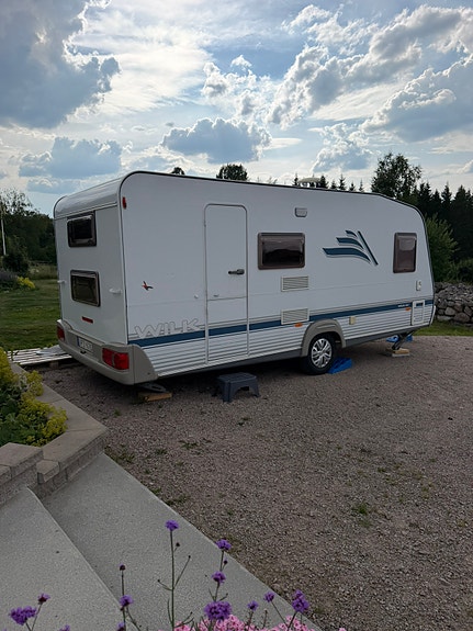 Wilk S3 490 2 of 4