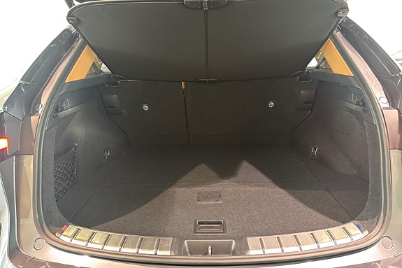 Lexus NX450h+ 25 of 26