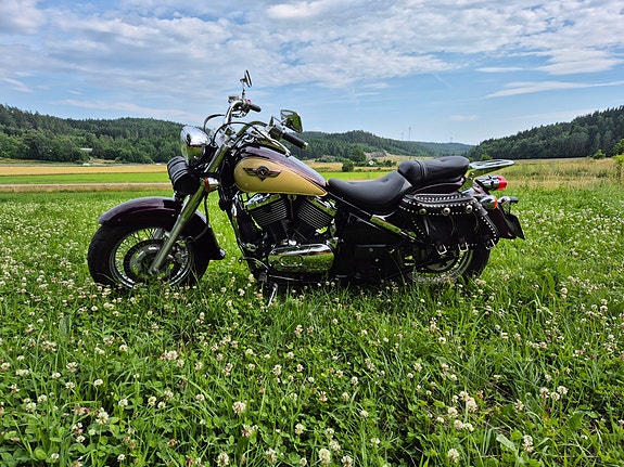 Kawasaki Vulcan 800 2 of 7
