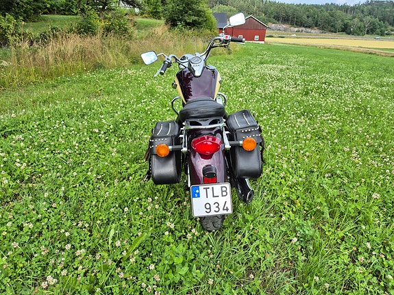 Kawasaki Vulcan 800 3 of 7