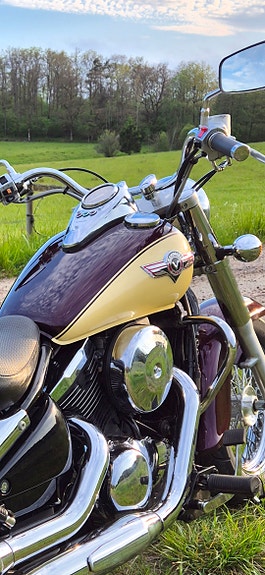 Kawasaki Vulcan 800 4 of 7