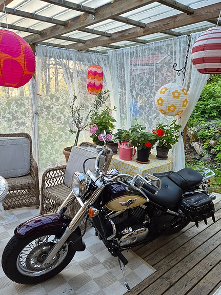 Kawasaki Vulcan 800 7 of 7