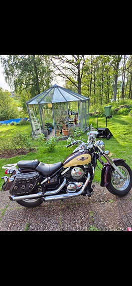 Kawasaki Vulcan 800 5 of 7