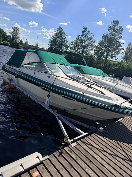 Jättefin Searay Monaco 210 7 of 7