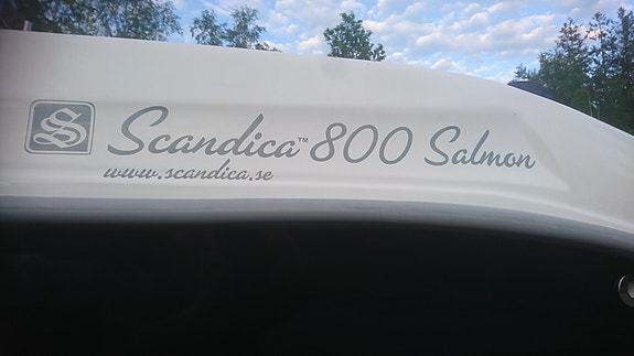 Scandica 800 salmon wa 8 of 9