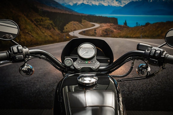 Harley-Davidson XL883R 11 of 15