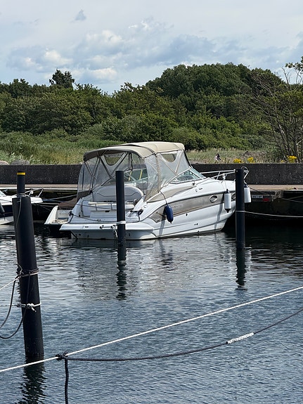 Motorbåt Crownline - Daycruiser 250CR 18 of 18