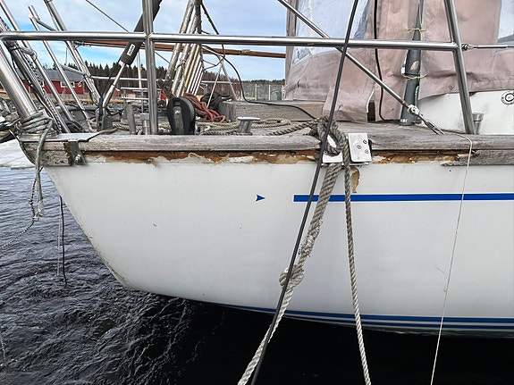 Scandinavian Eagle 64 18 of 28