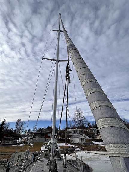 Scandinavian Eagle 64 5 of 28