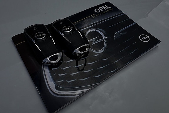 Opel Insignia 30 of 30