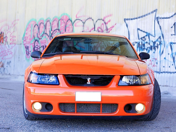 Ford Mustang 3 of 19