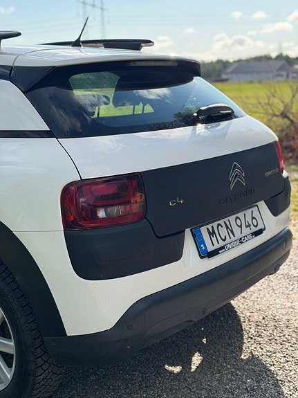 Citroen C4 Cactus 10 of 17