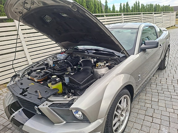 Ford Mustang 13 of 13