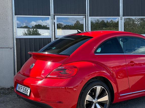 Volkswagen Beetle 5 of 17