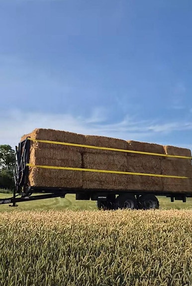 Baltrailer Mustang Flak19-10 19ton/10.2m 2 of 3