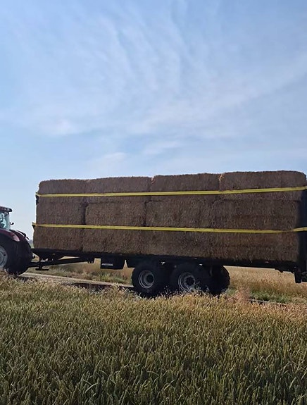 Baltrailer Mustang Flak19-10 19ton/10.2m 3 of 3