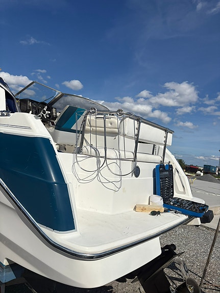 Fynd Bayliner 2255 sunbridge med en EZ loader boggi trailer 4 of 19