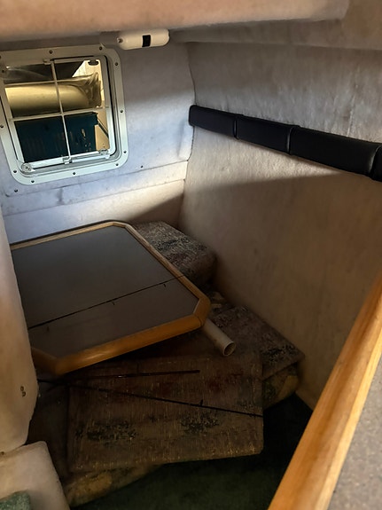 Fynd Bayliner 2255 sunbridge med en EZ loader boggi trailer 21 of 26
