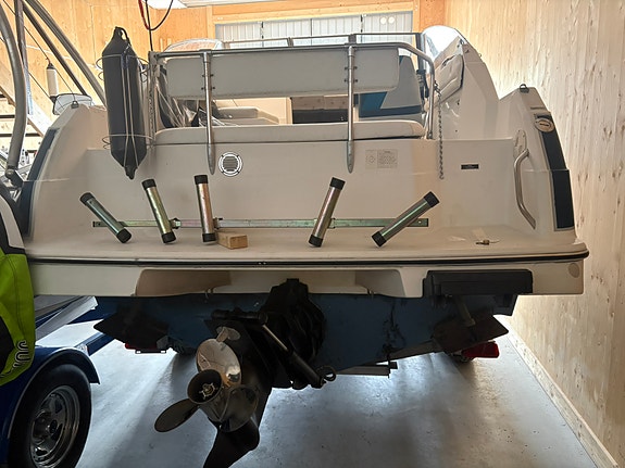 Fynd Bayliner 2255 sunbridge med en EZ loader boggi trailer 15 of 19