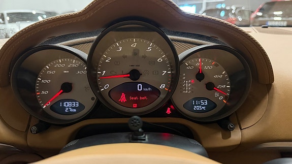 Porsche Cayman S 20 of 23