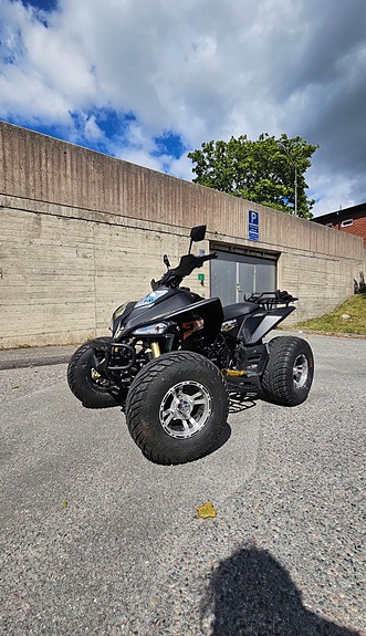 Övriga Bashan, BS250 AS-43 5 of 5